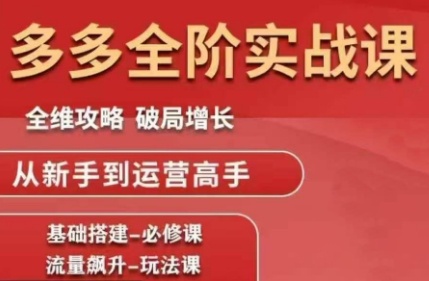 大炮·拼多多全阶实战课程(更新10月)-37网创