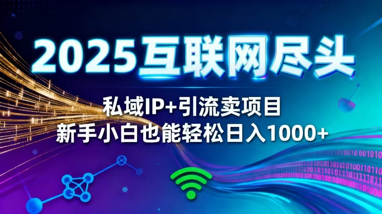 2025网创尽头王炸项目！私域 IP + 精准引流，新手小白在家躺赚日入 1000+-37网创