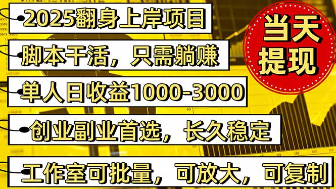 2025翻身上岸项目脚本干活，内部客户经理内部开号，单人日收益1000-300...-37网创